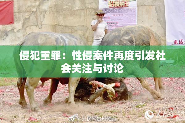 侵犯重罪：性侵案件再度引发社会关注与讨论
