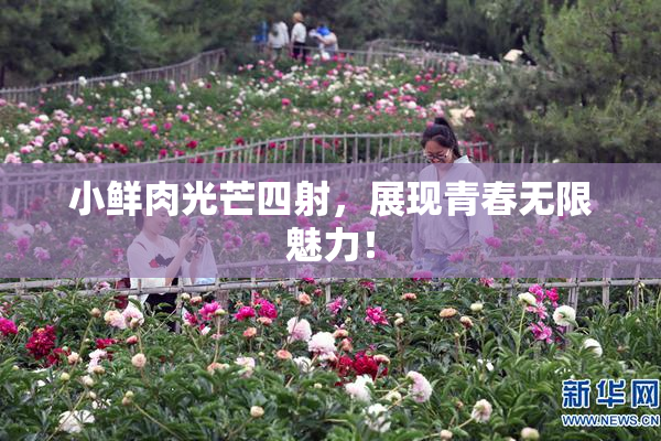 小鲜肉光芒四射，展现青春无限魅力！