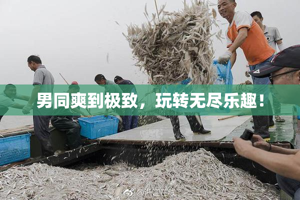 男同爽到极致，玩转无尽乐趣！