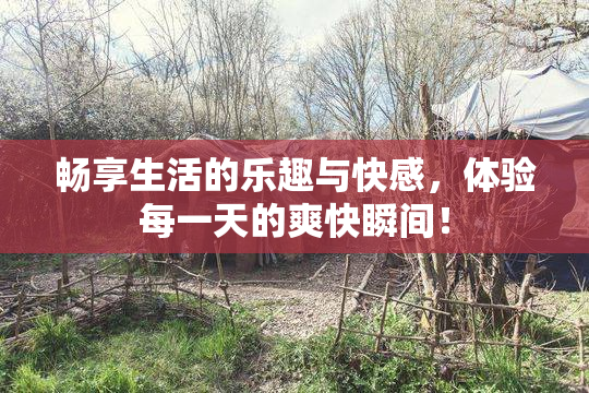 畅享生活的乐趣与快感，体验每一天的爽快瞬间！