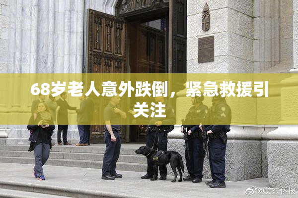 68岁老人意外跌倒，紧急救援引关注