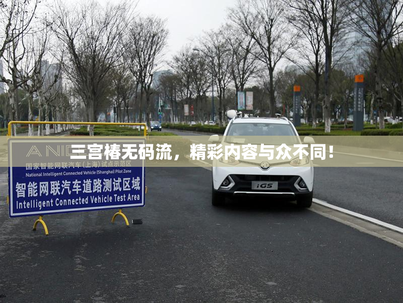 三宫椿无码流，精彩内容与众不同！