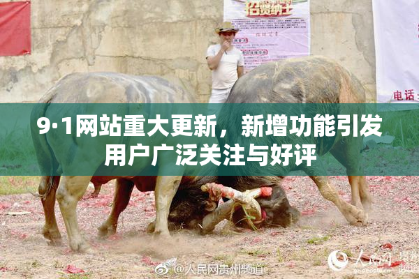 9·1网站重大更新，新增功能引发用户广泛关注与好评