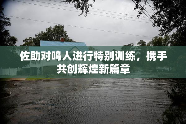 佐助对鸣人进行特别训练，携手共创辉煌新篇章
