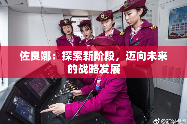 佐良娜：探索新阶段，迈向未来的战略发展