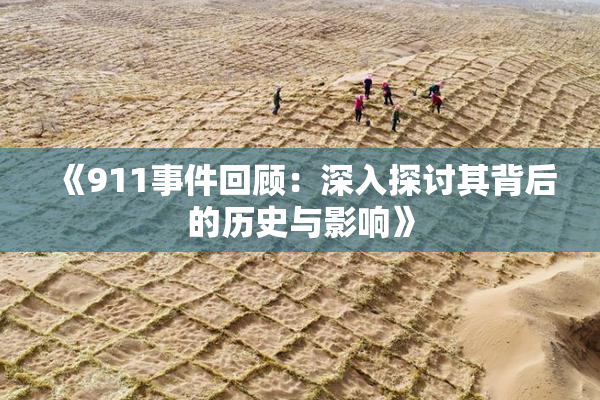 《911事件回顾：深入探讨其背后的历史与影响》
