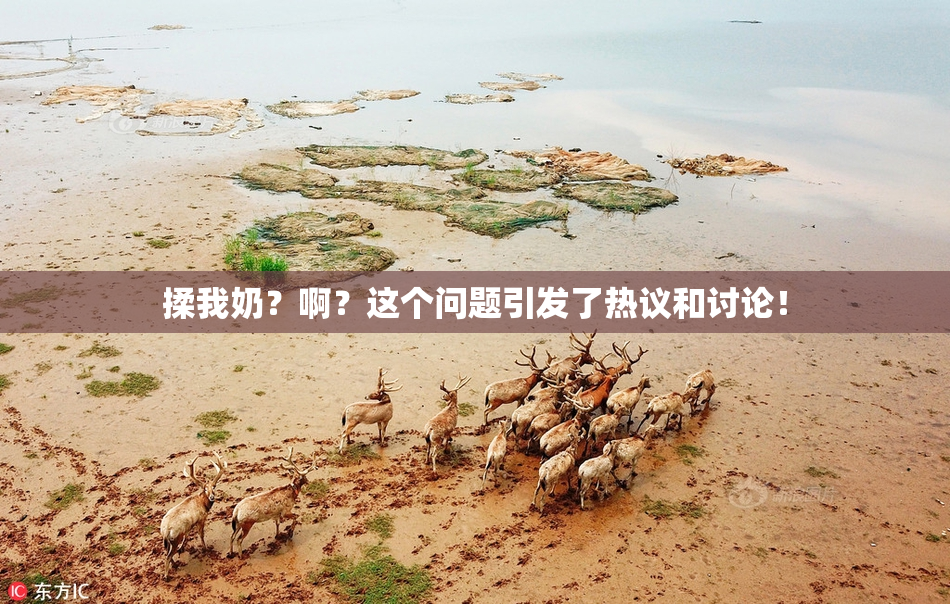 揉我奶？啊？这个问题引发了热议和讨论！