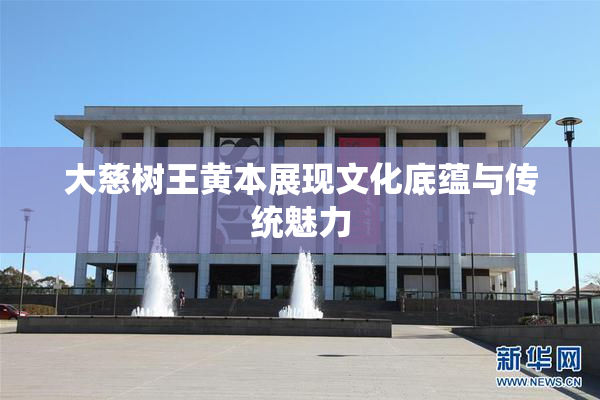 大慈树王黄本展现文化底蕴与传统魅力