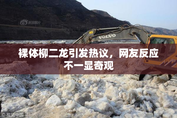 裸体柳二龙引发热议，网友反应不一显奇观
