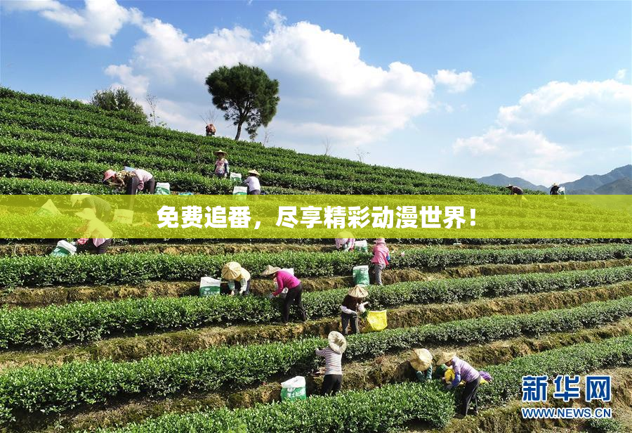免费追番，尽享精彩动漫世界！