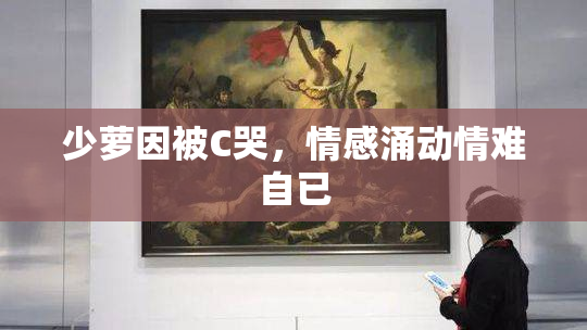 少萝因被C哭，情感涌动情难自已