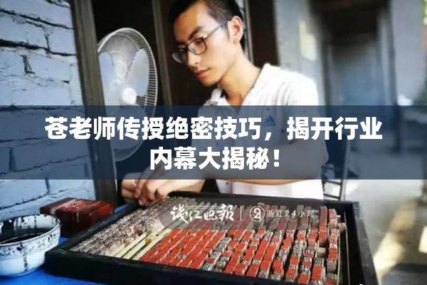 苍老师传授绝密技巧，揭开行业内幕大揭秘！
