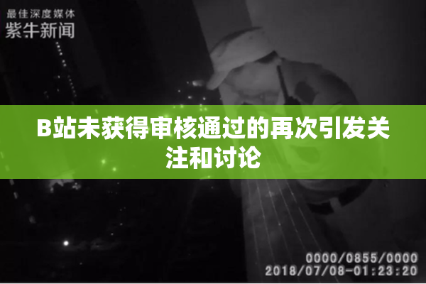 B站未获得审核通过的再次引发关注和讨论