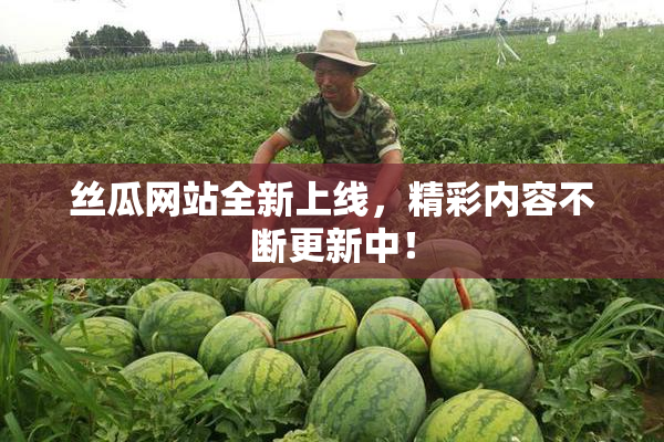 丝瓜网站全新上线，精彩内容不断更新中！