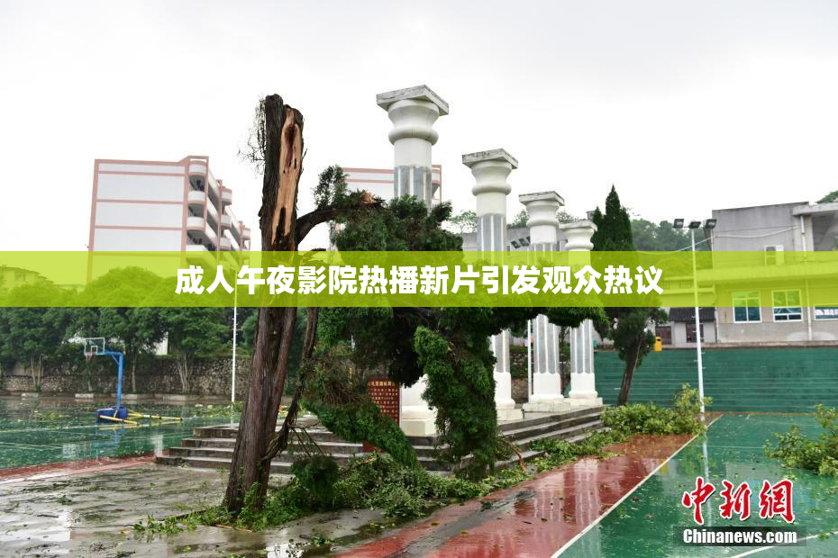 成人午夜影院热播新片引发观众热议