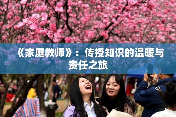 《家庭教师》：传授知识的温暖与责任之旅
