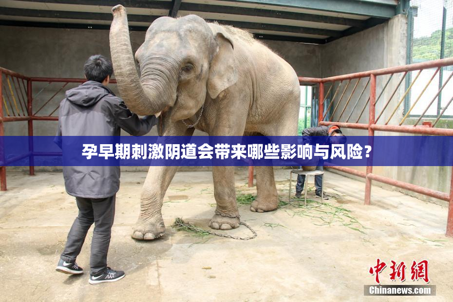 孕早期刺激阴道会带来哪些影响与风险？