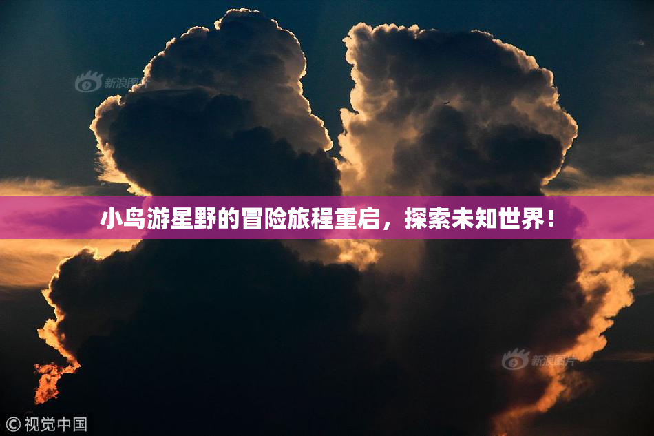 小鸟游星野的冒险旅程重启，探索未知世界！