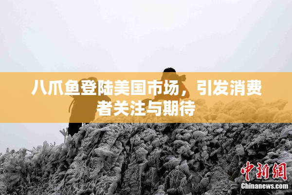 八爪鱼登陆美国市场，引发消费者关注与期待