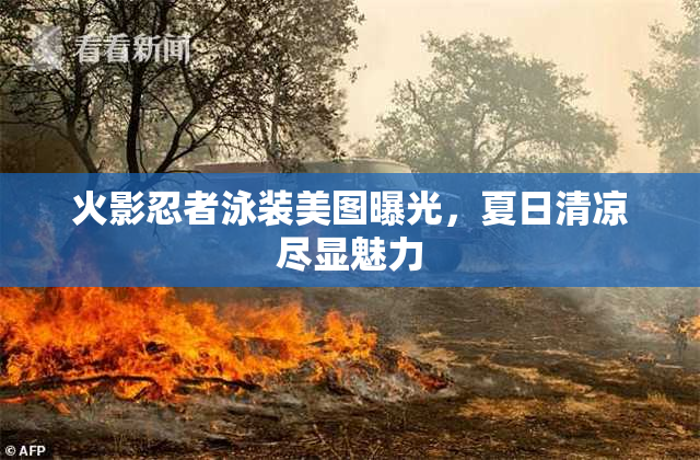 火影忍者泳装美图曝光，夏日清凉尽显魅力