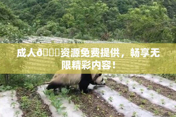 成人🔞资源免费提供，畅享无限精彩内容！