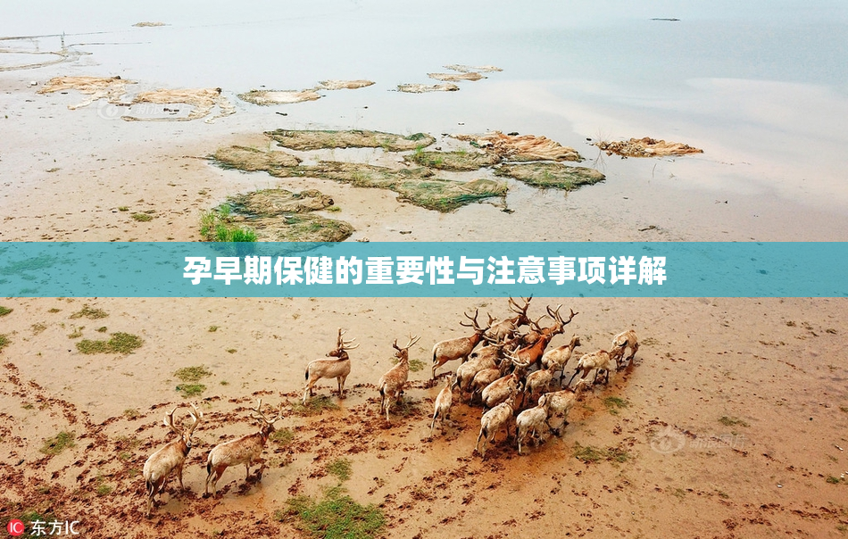 孕早期保健的重要性与注意事项详解