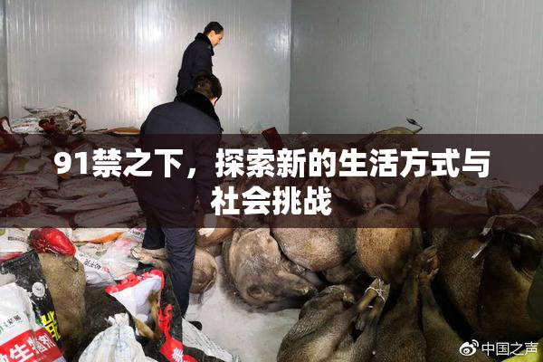 91禁之下，探索新的生活方式与社会挑战