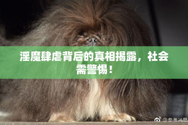 淫魔肆虐背后的真相揭露，社会需警惕！