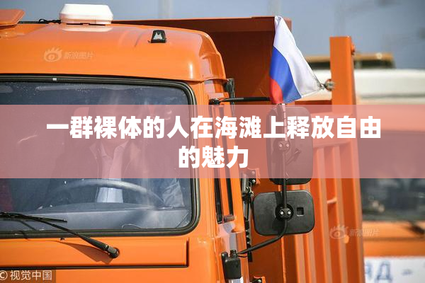 一群裸体的人在海滩上释放自由的魅力