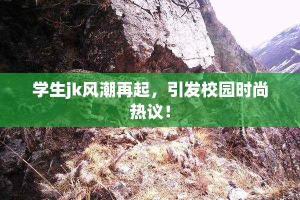 学生jk风潮再起，引发校园时尚热议！