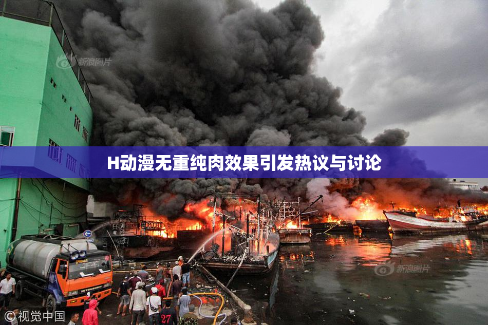 H动漫无重纯肉效果引发热议与讨论