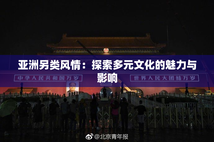 亚洲另类风情：探索多元文化的魅力与影响