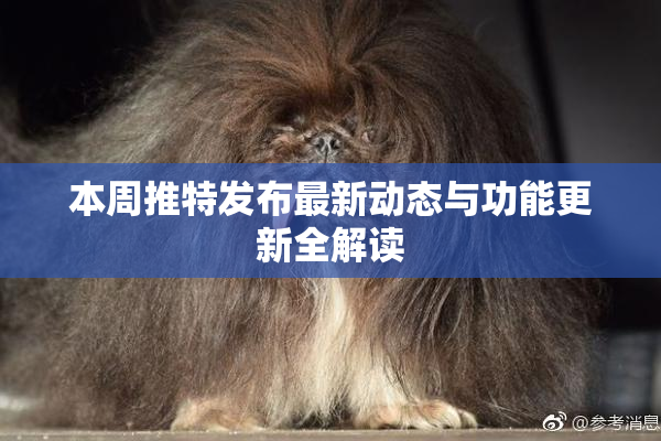本周推特发布最新动态与功能更新全解读