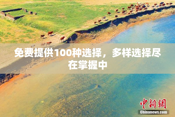 免费提供100种选择，多样选择尽在掌握中