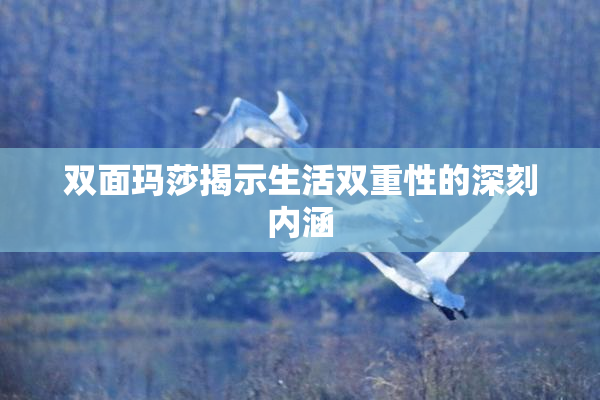 双面玛莎揭示生活双重性的深刻内涵