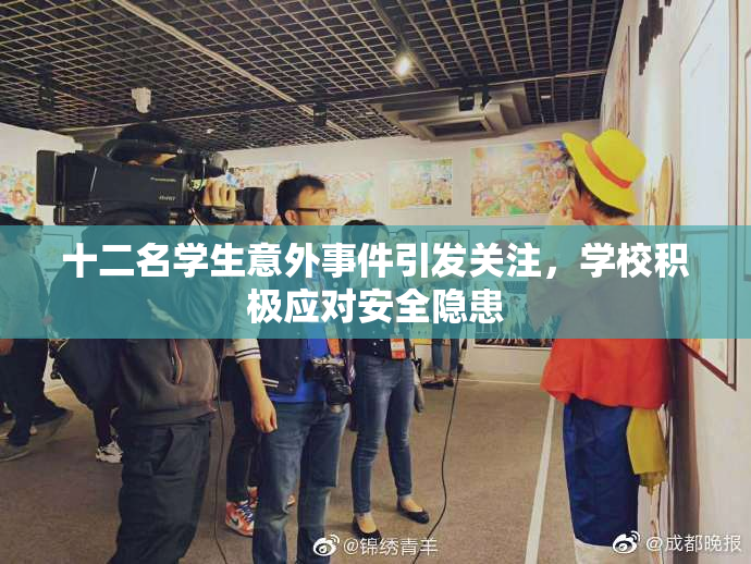 十二名学生意外事件引发关注，学校积极应对安全隐患