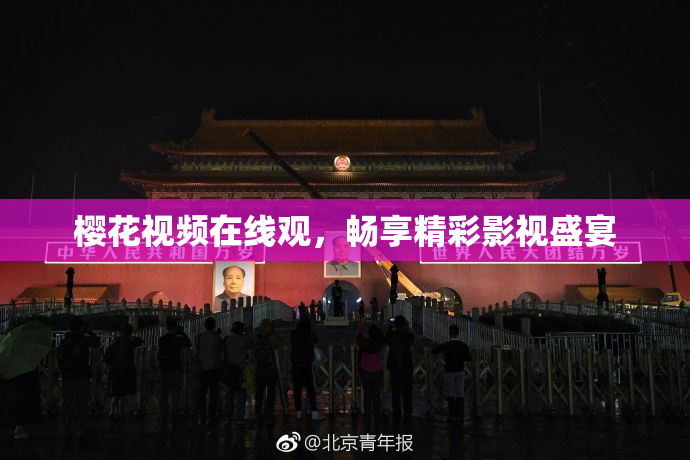 樱花视频在线观，畅享精彩影视盛宴