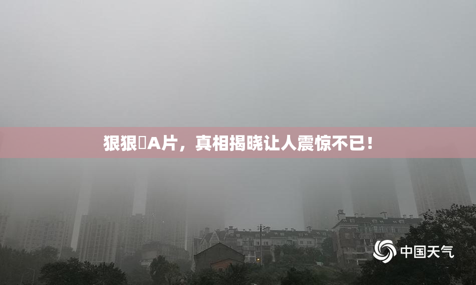 狠狠穞A片，真相揭晓让人震惊不已！