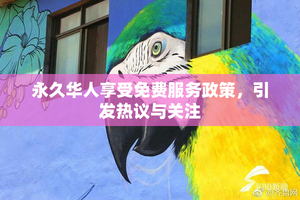 永久华人享受免费服务政策，引发热议与关注