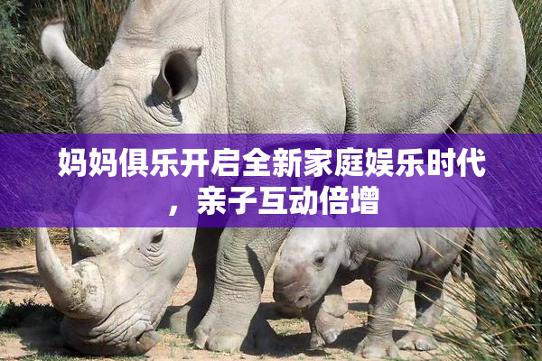 妈妈俱乐开启全新家庭娱乐时代，亲子互动倍增