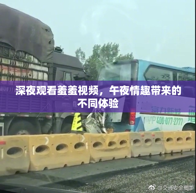 深夜观看羞羞视频，午夜情趣带来的不同体验