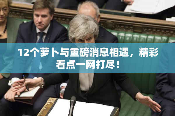 12个萝卜与重磅消息相遇，精彩看点一网打尽！