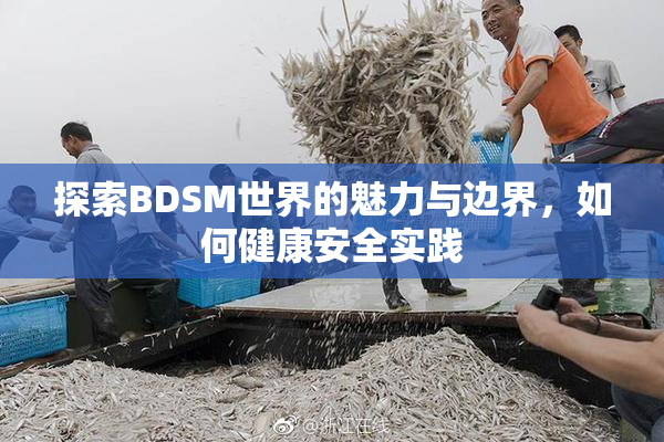 探索BDSM世界的魅力与边界，如何健康安全实践