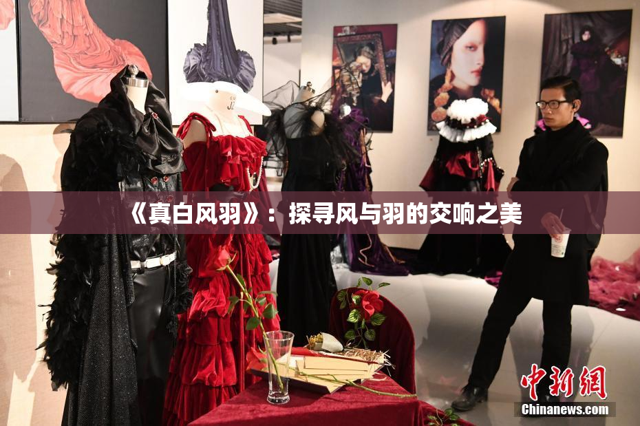 《真白风羽》：探寻风与羽的交响之美