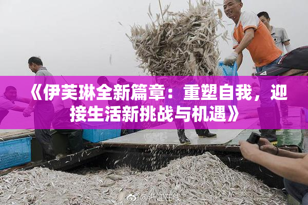 《伊芙琳全新篇章：重塑自我，迎接生活新挑战与机遇》