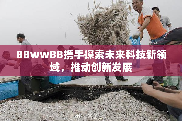 BBwwBB携手探索未来科技新领域，推动创新发展