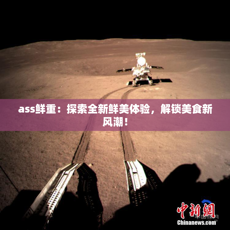 ass鲜重：探索全新鲜美体验，解锁美食新风潮！