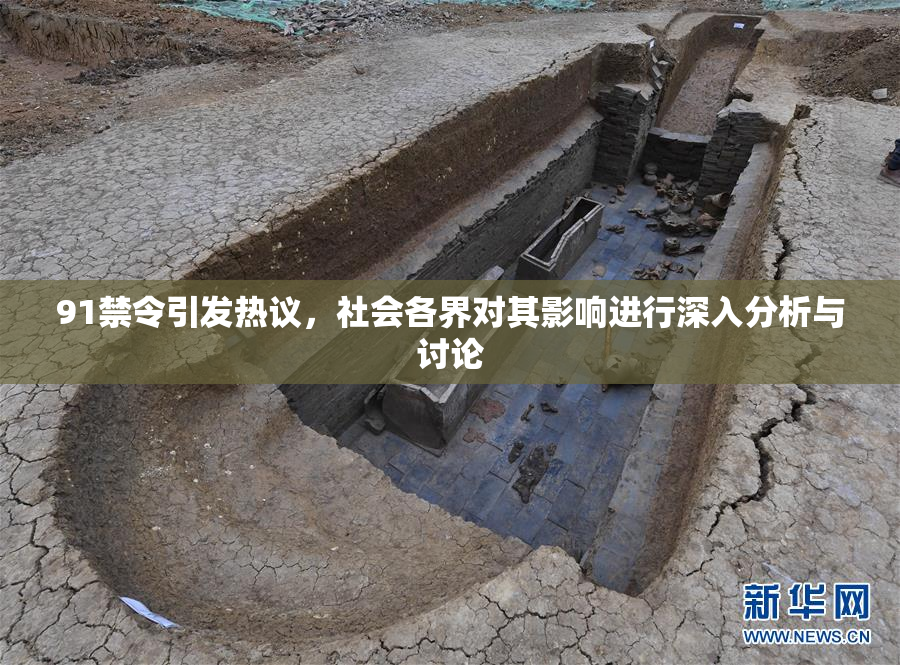 91禁令引发热议，社会各界对其影响进行深入分析与讨论