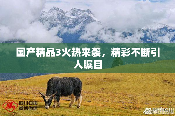 国产精品3火热来袭，精彩不断引人瞩目