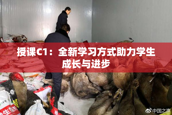 授课C1：全新学习方式助力学生成长与进步